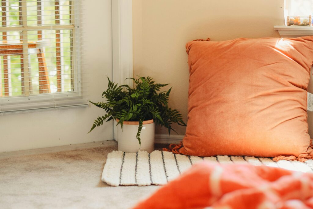 A cosy area with an orange cushion, rug and potted plant